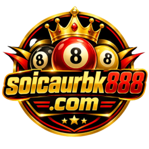 soicaurbk888-logo